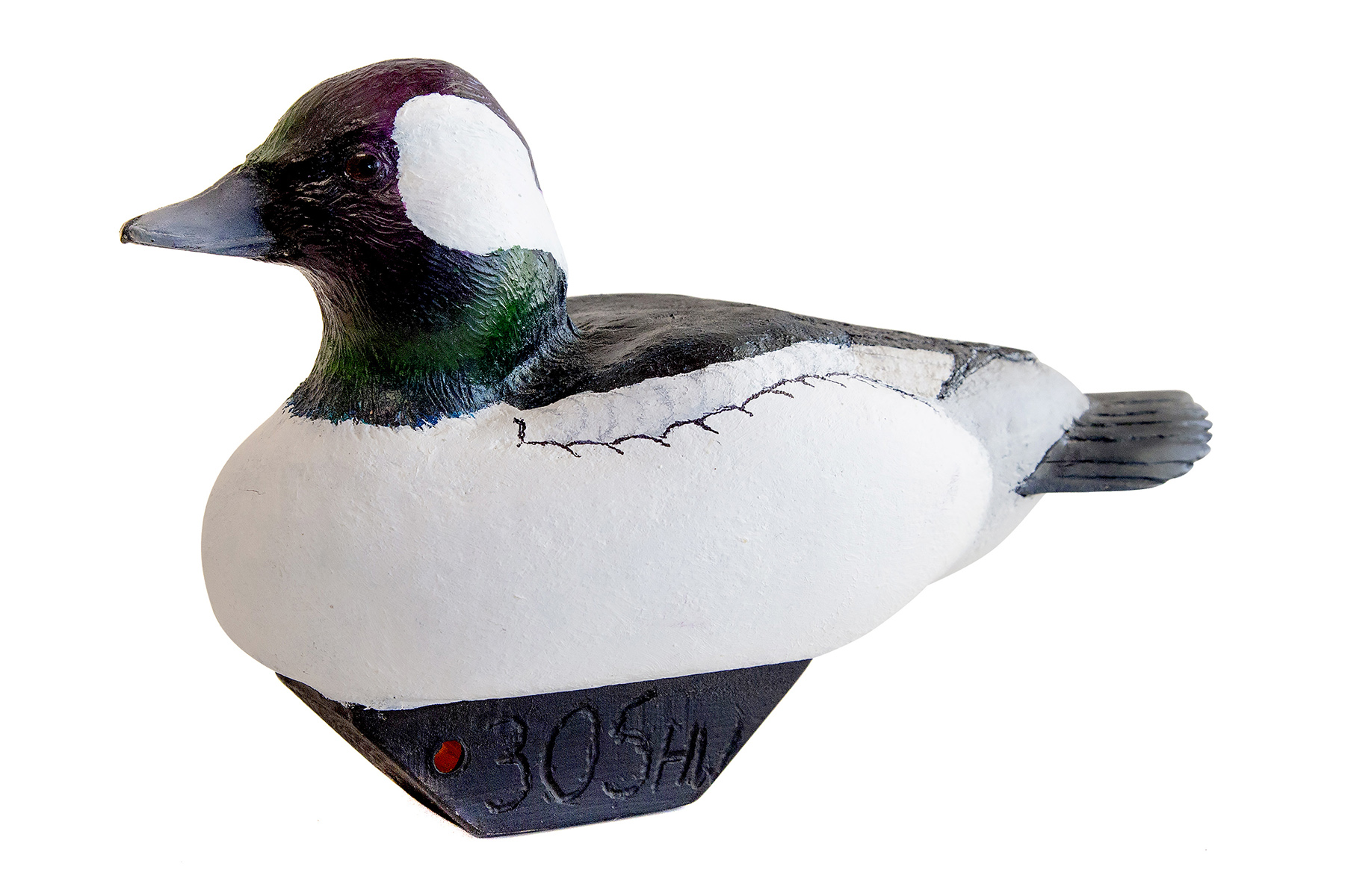 buffleheaddecoysm (002) Oak Hammock Marsh Interpretive Centre