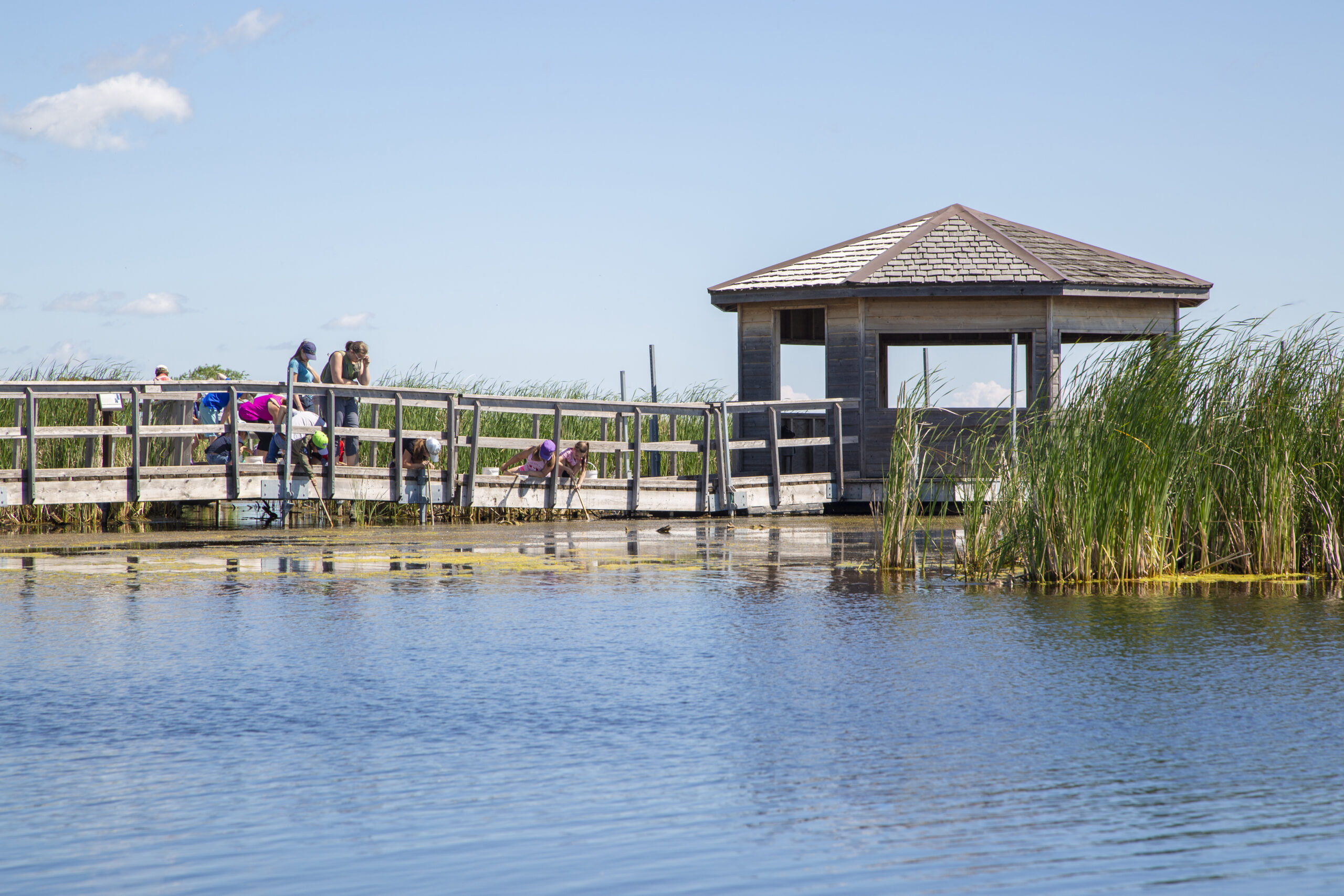 Children on the boardwalk at Oak Hammock Marsh