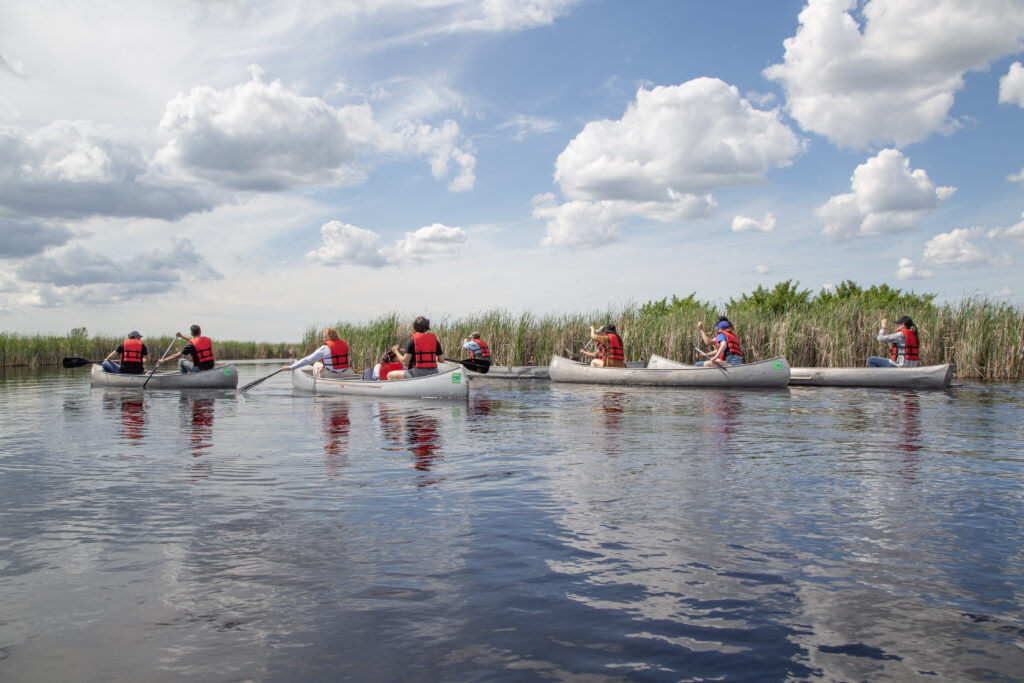 People canoeing in Oak Hammock Marsh